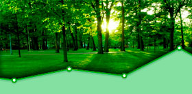 Bosque virtual Ingernova