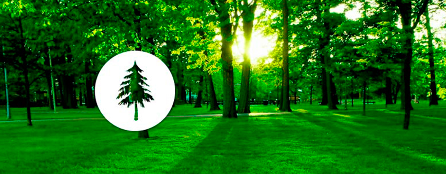 Nuestro Bosque Virtual